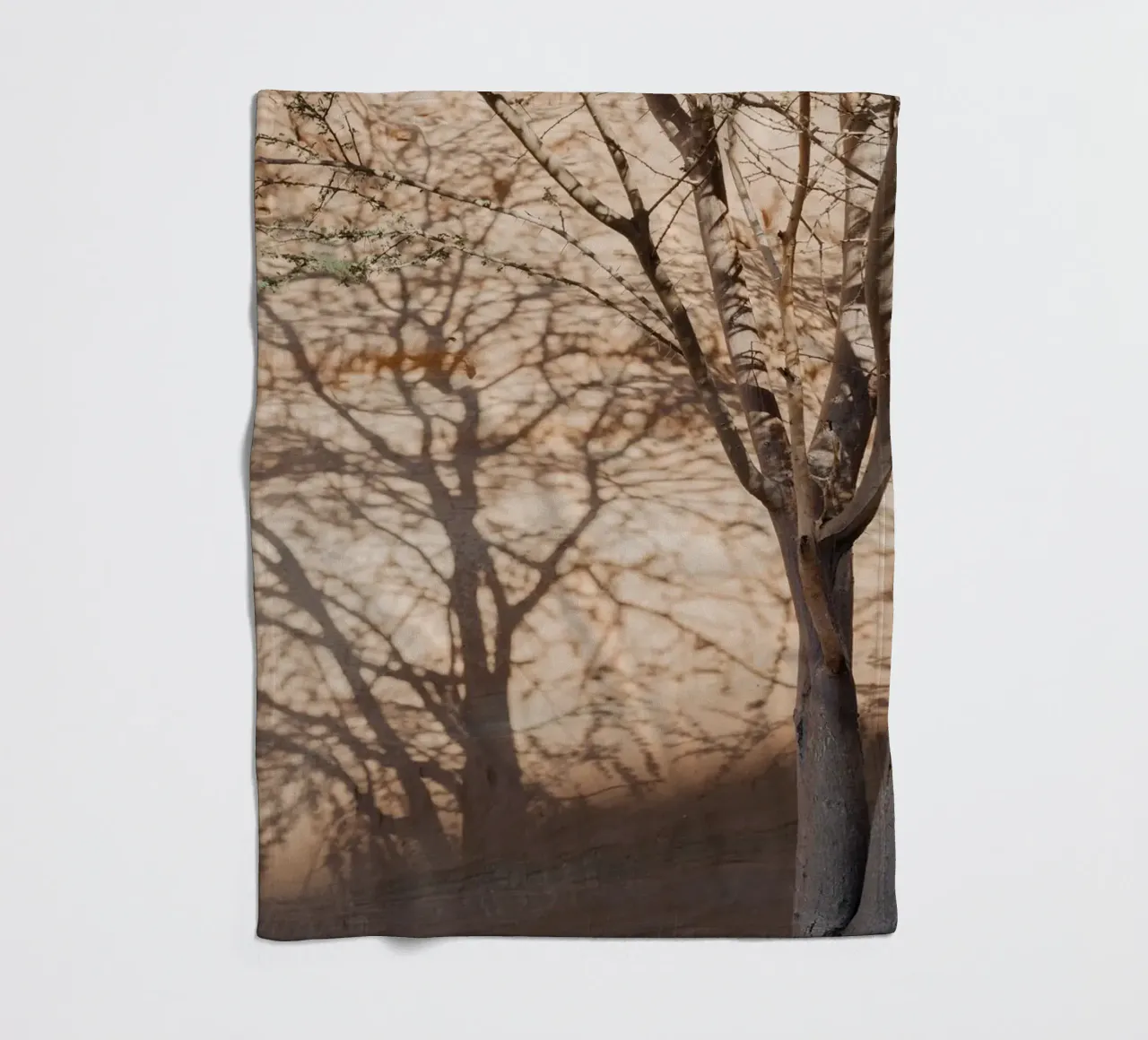 A rock, a tree and shadow coperta in pile da photolovers