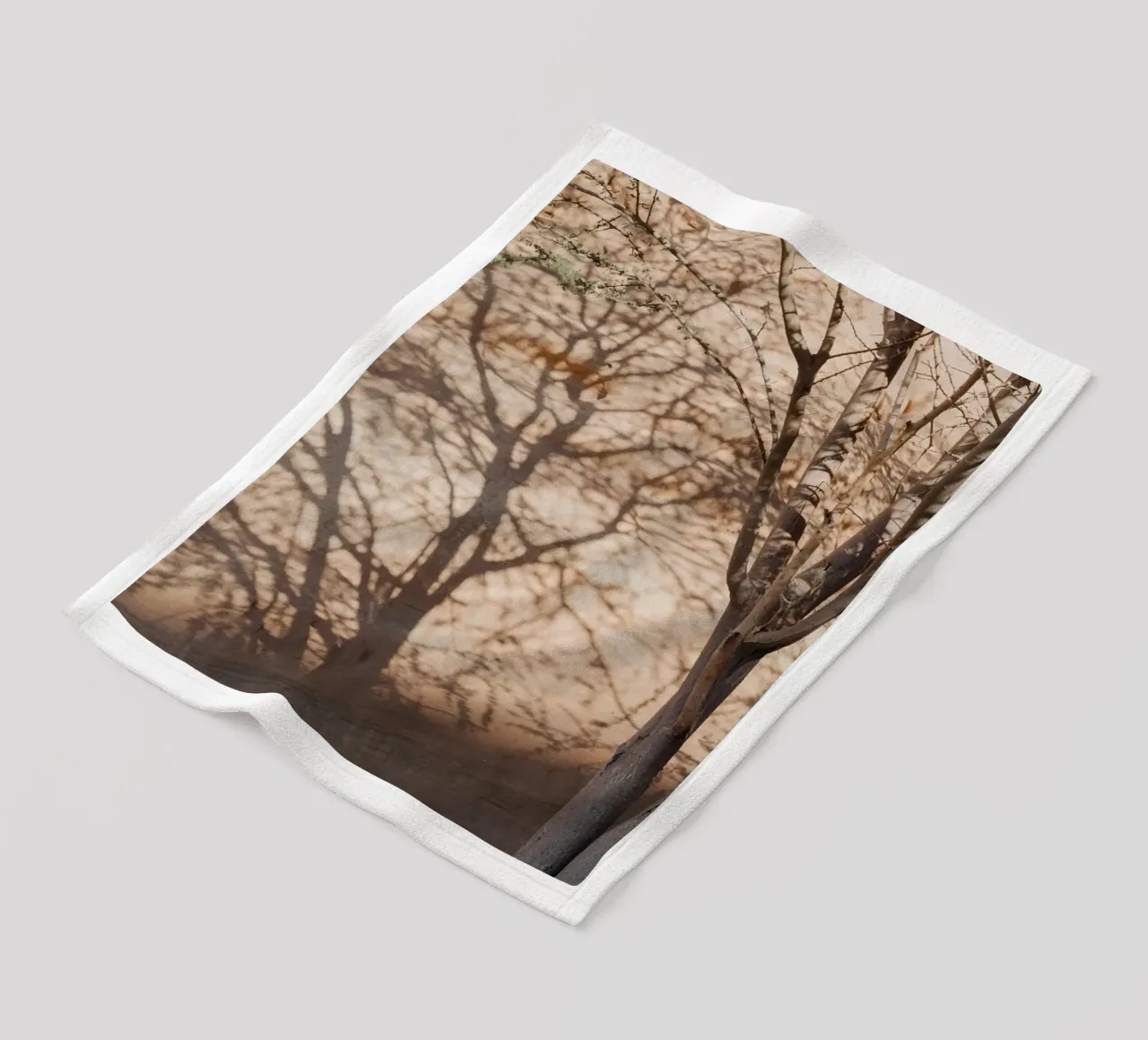 A rock, a tree and shadow coperta in pile da photolovers