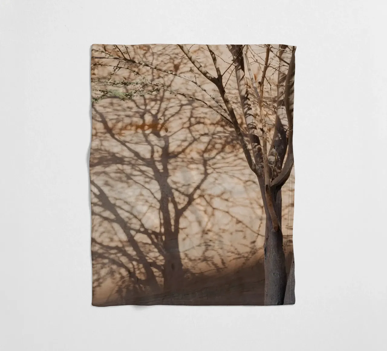 A rock, a tree and shadow coperta in pile da photolovers