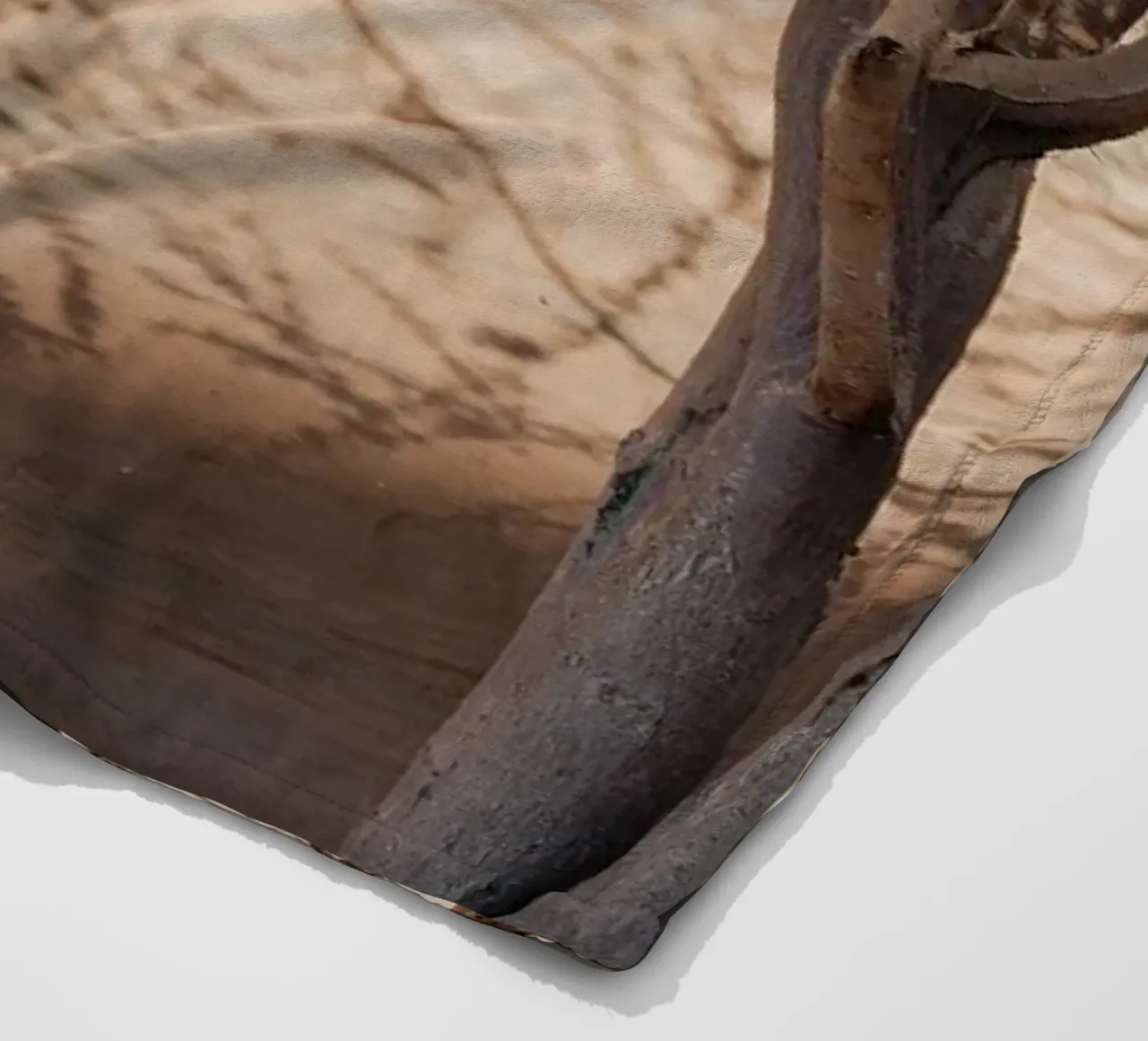 A rock, a tree and shadow coperta in pile da photolovers