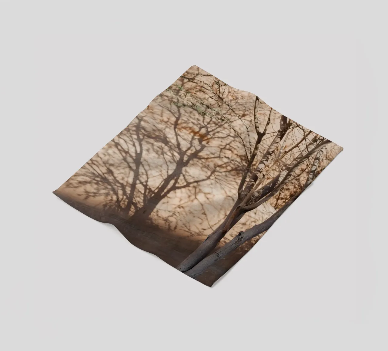 A rock, a tree and shadow coperta in pile da photolovers