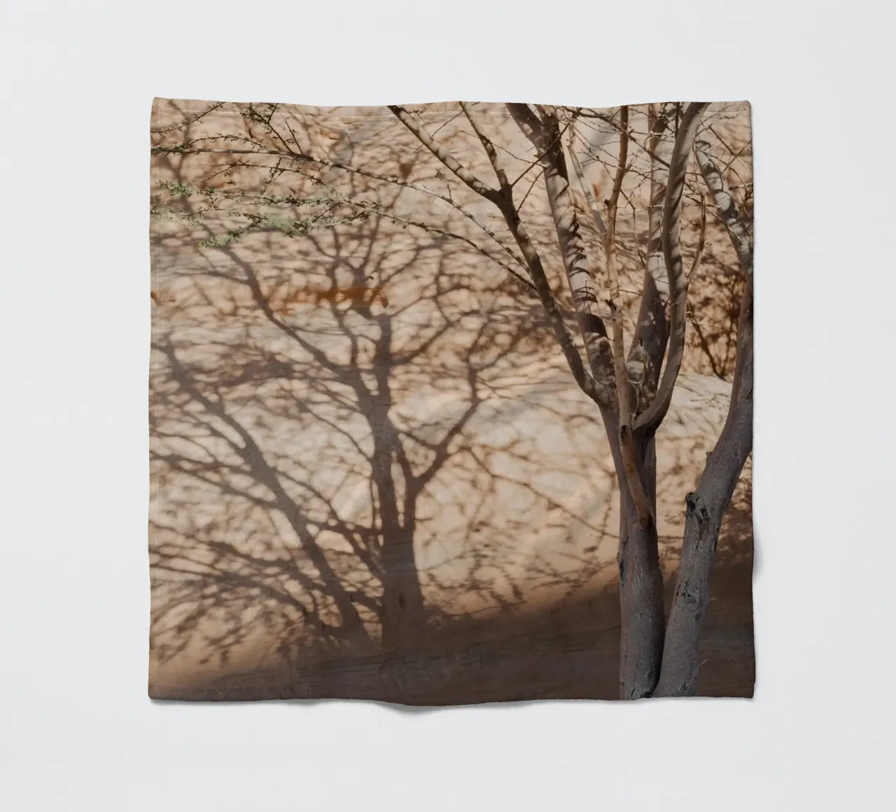A rock, a tree and shadow coperta in pile da photolovers