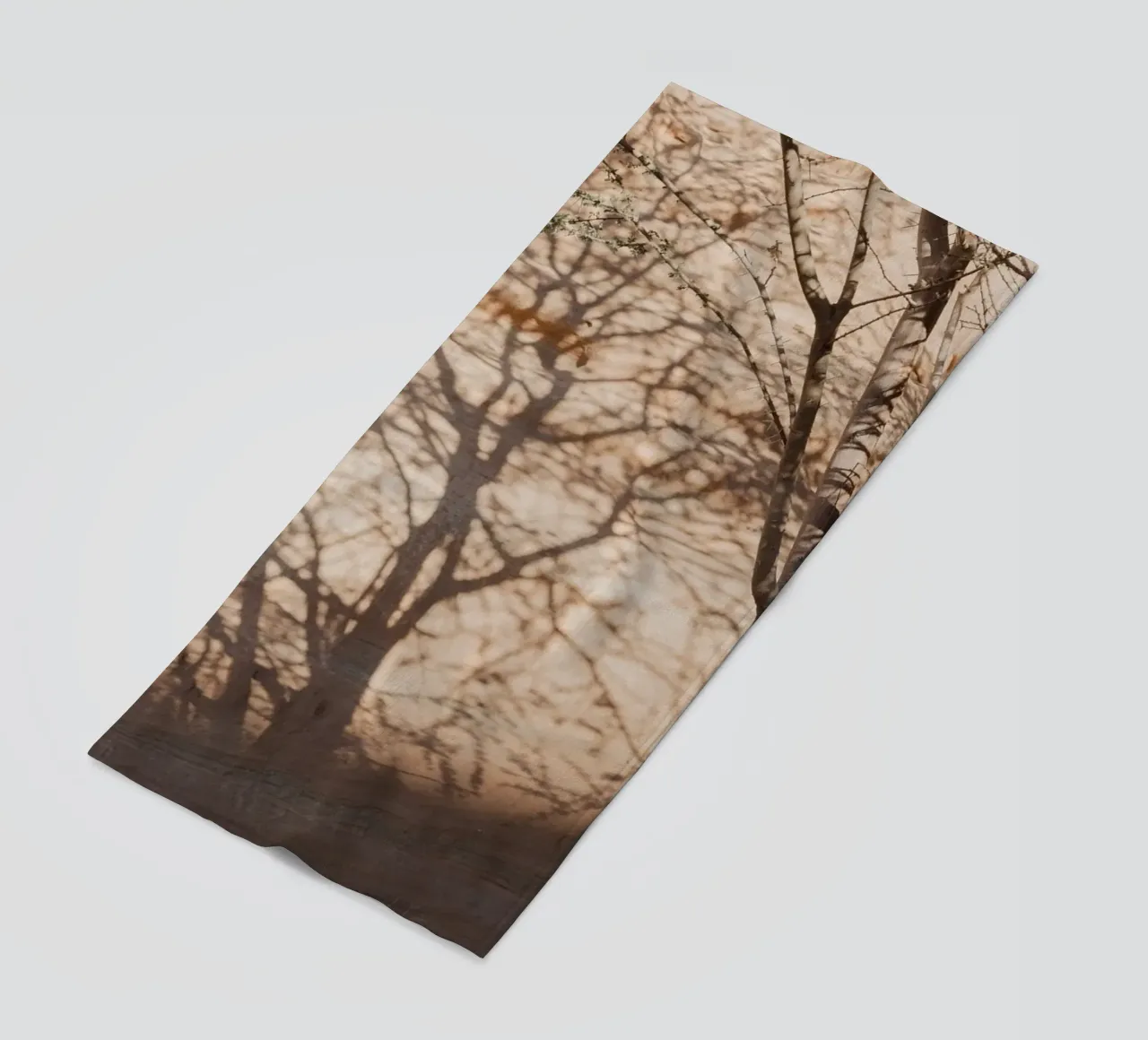 A rock, a tree and shadow telo mare da photolovers