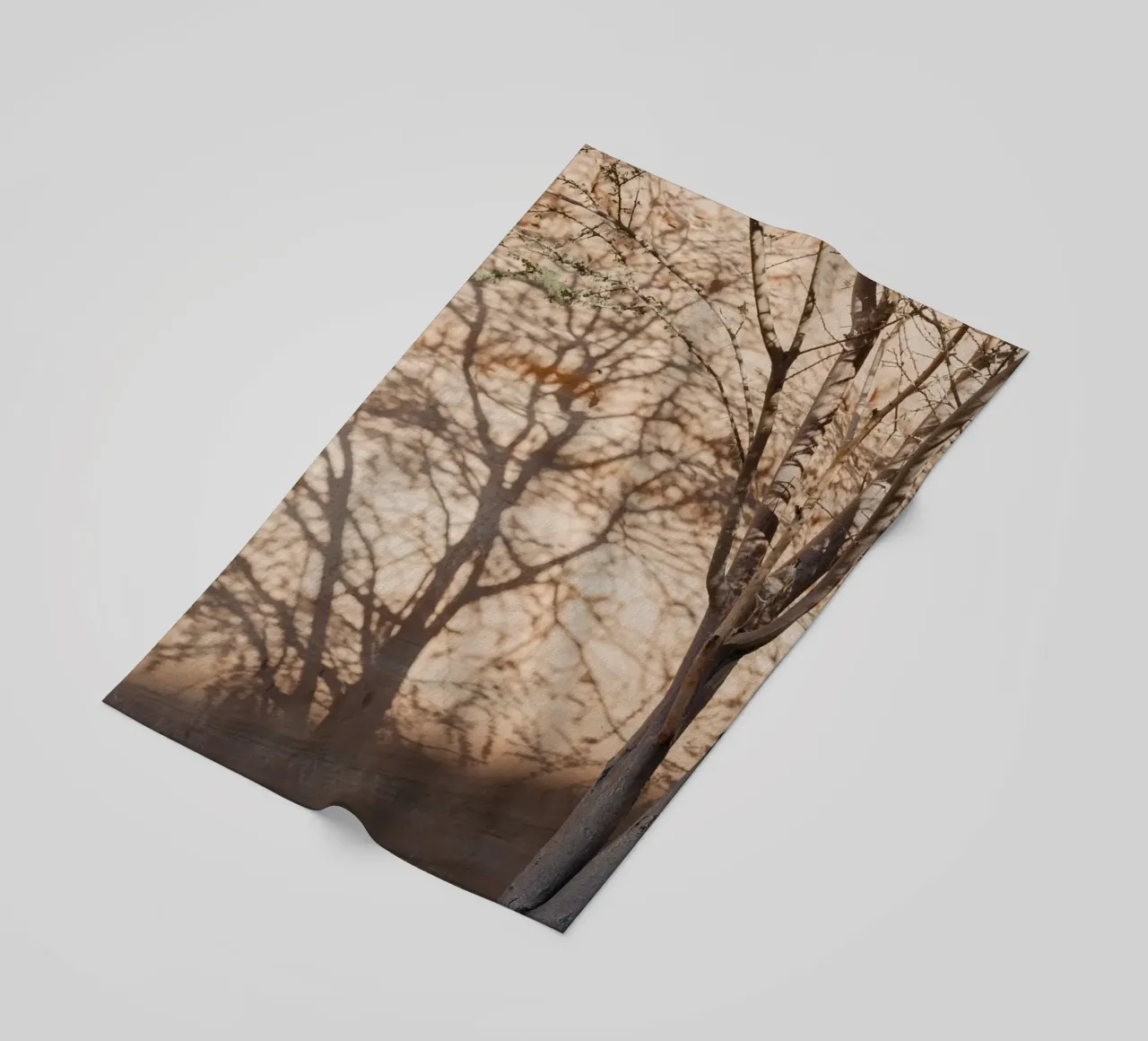 A rock, a tree and shadow telo mare da photolovers