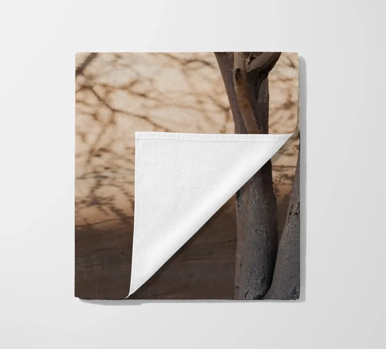 A rock, a tree and shadow telo mare da photolovers