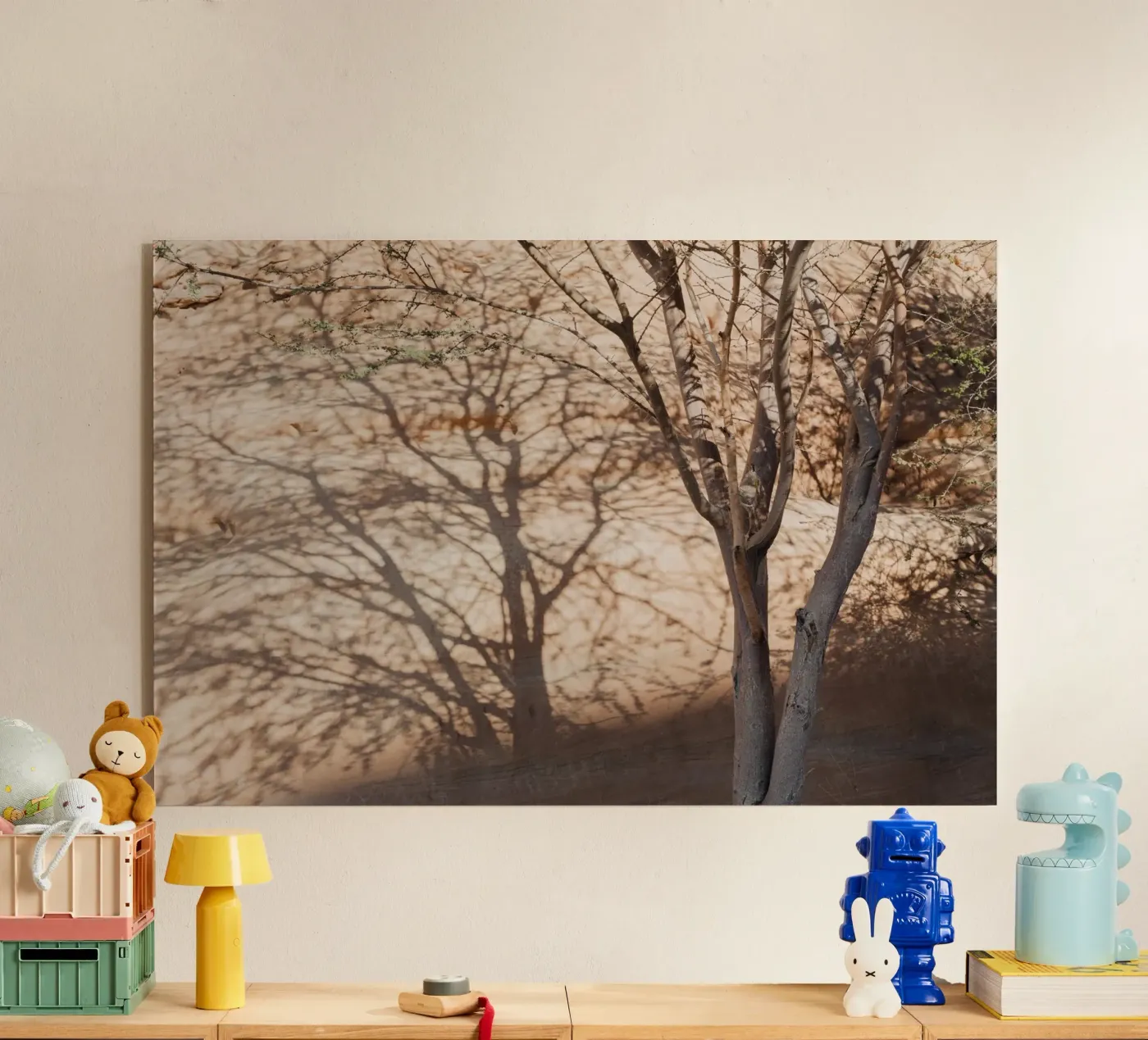 A rock, a tree and shadow plexiglass da photolovers