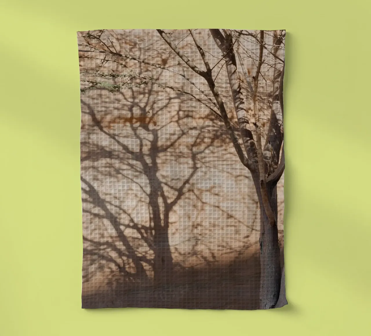 A rock, a tree and shadow canovaccio da cucina da photolovers