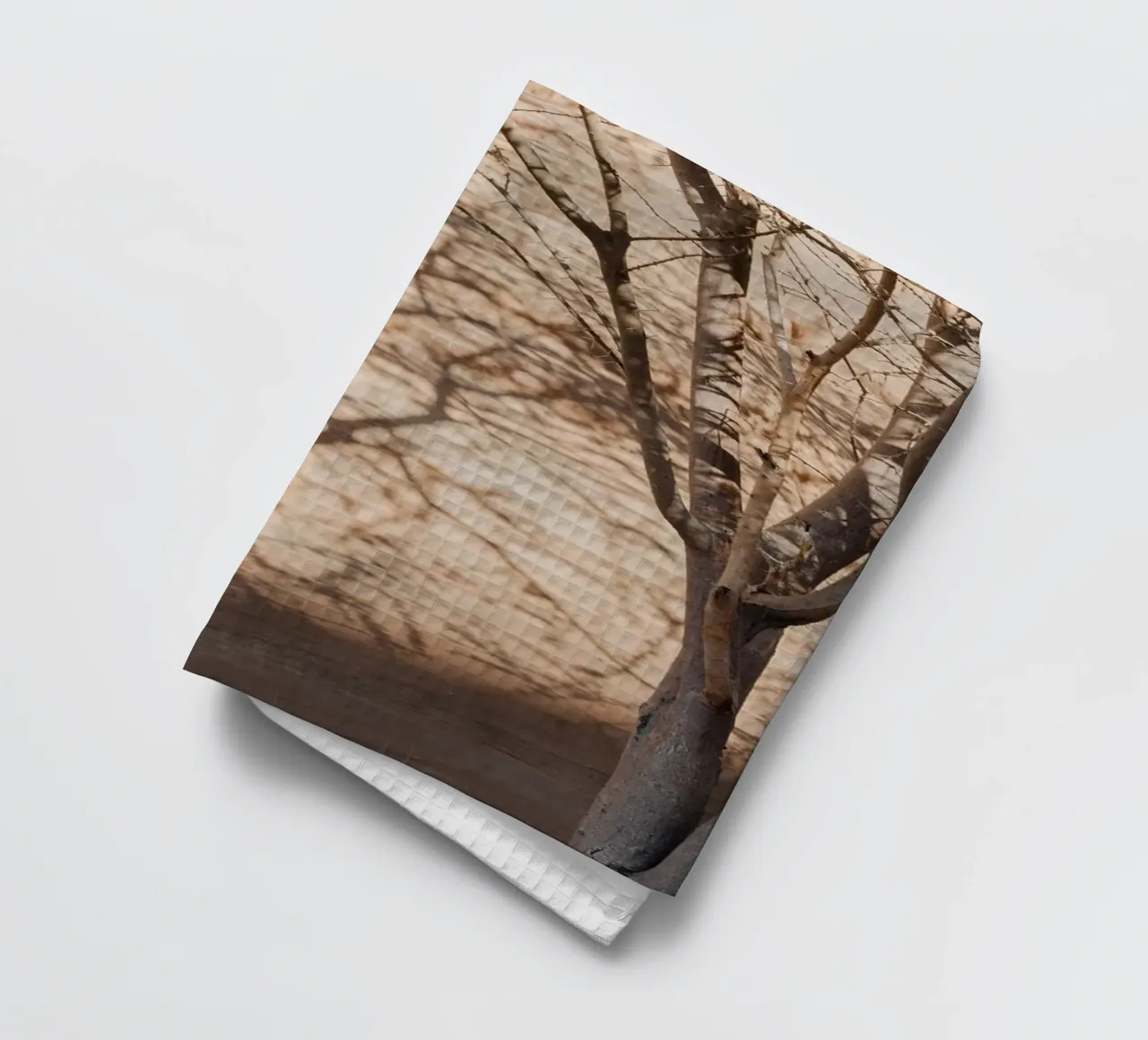 A rock, a tree and shadow canovaccio da cucina da photolovers