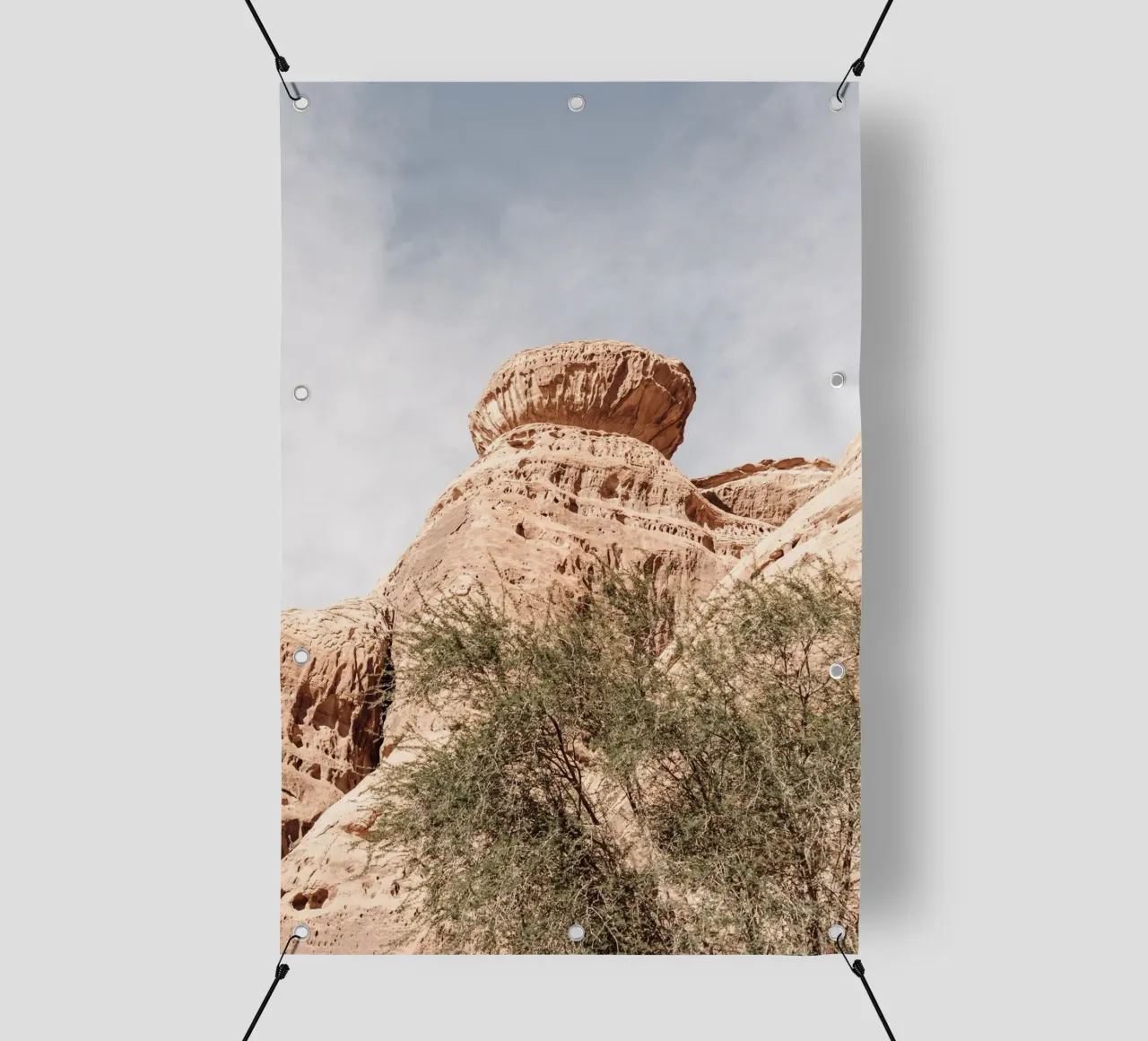 Rocks and a tree in the desert telo in pvc da photolovers