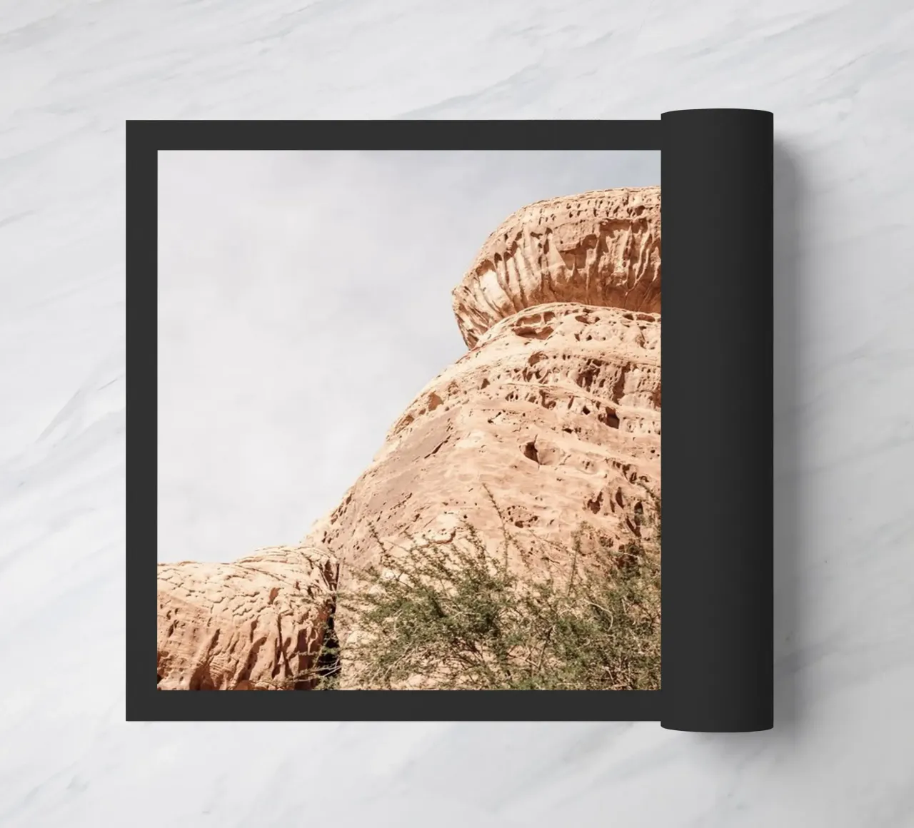 Rocks and a tree in the desert zerbino da photolovers