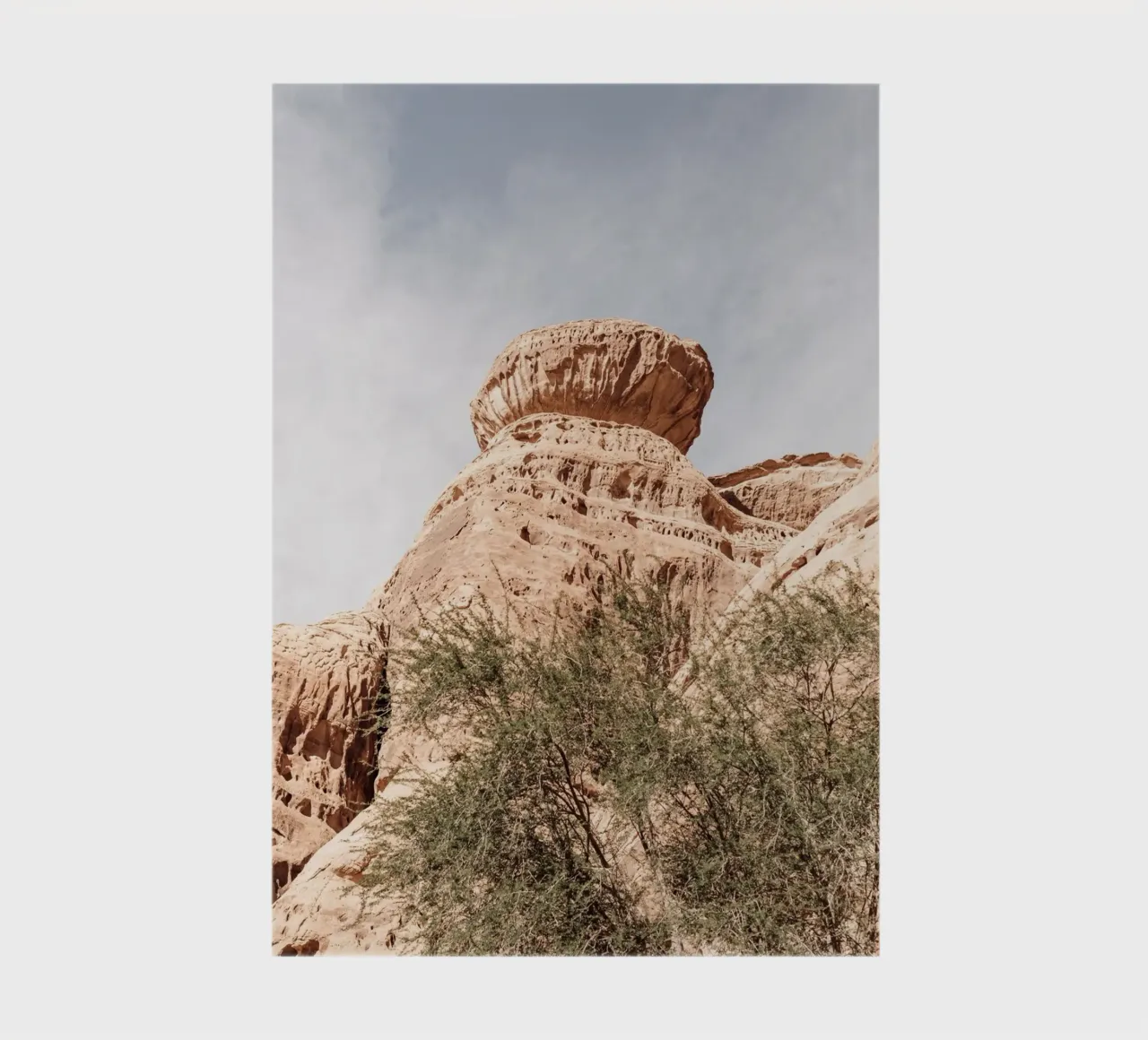 Rocks and a tree in the desert diario da photolovers