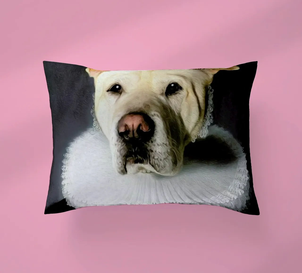Mimo cuscino da Tein Lucasson