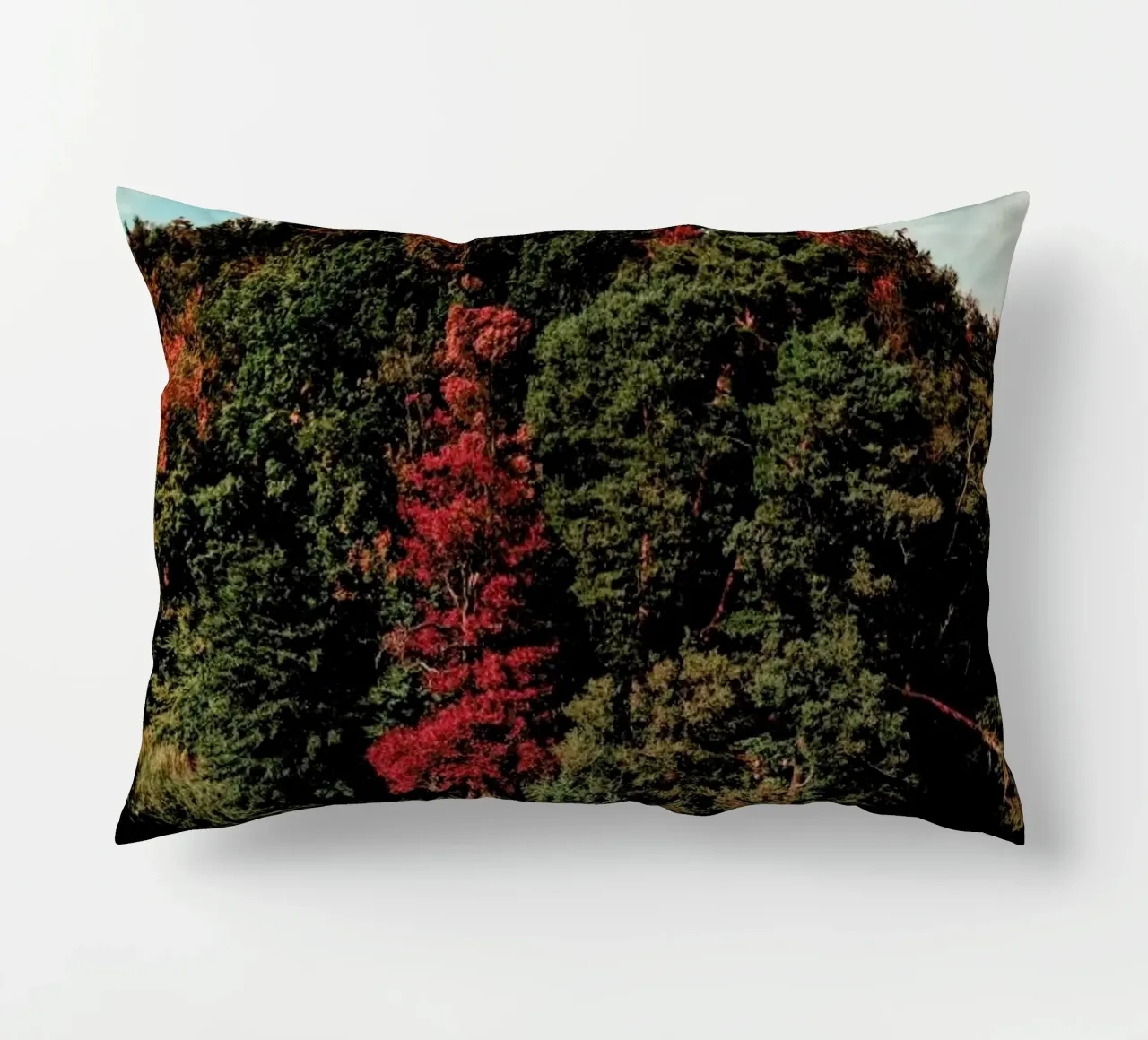 Colorful Forest cuscino da Sebastian Hilgetag