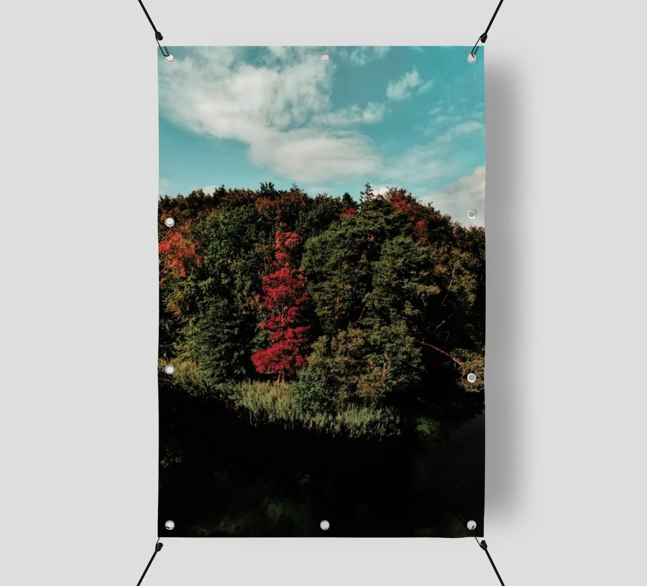 Colorful Forest telo in pvc da Sebastian Hilgetag