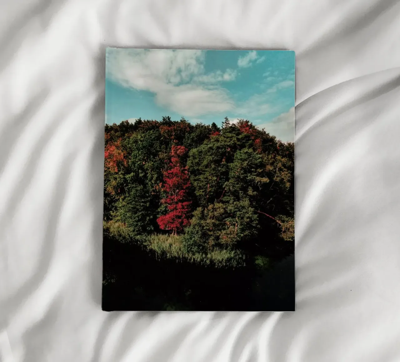 Colorful Forest notebook by Sebastian Hilgetag