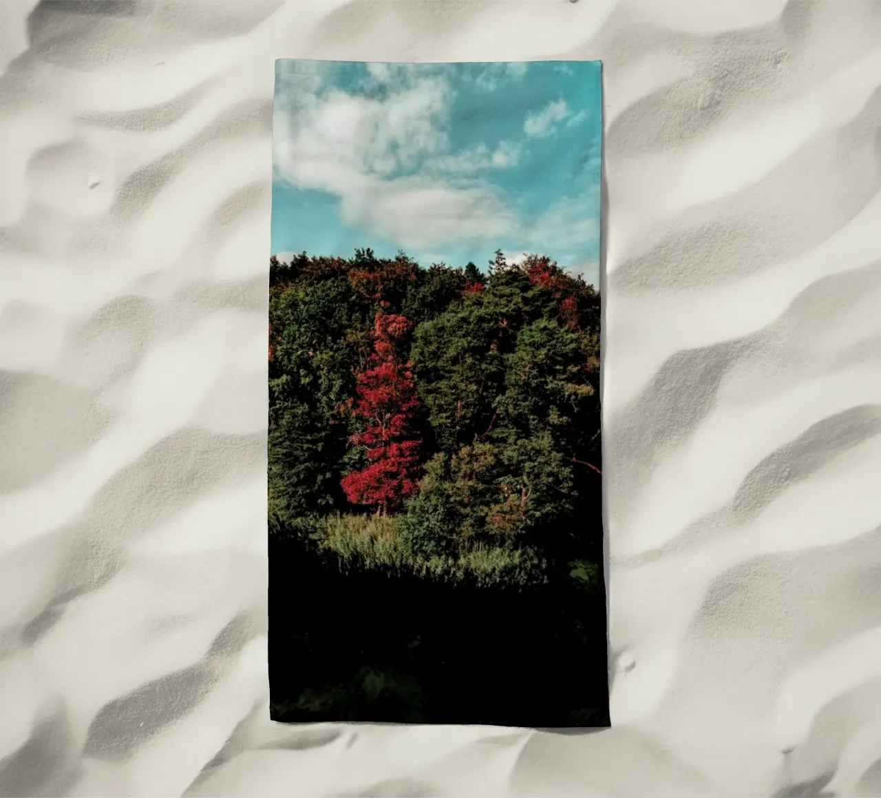 Colorful Forest telo mare da Sebastian Hilgetag