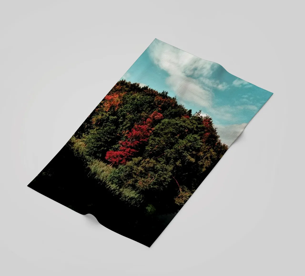 Colorful Forest telo mare da Sebastian Hilgetag