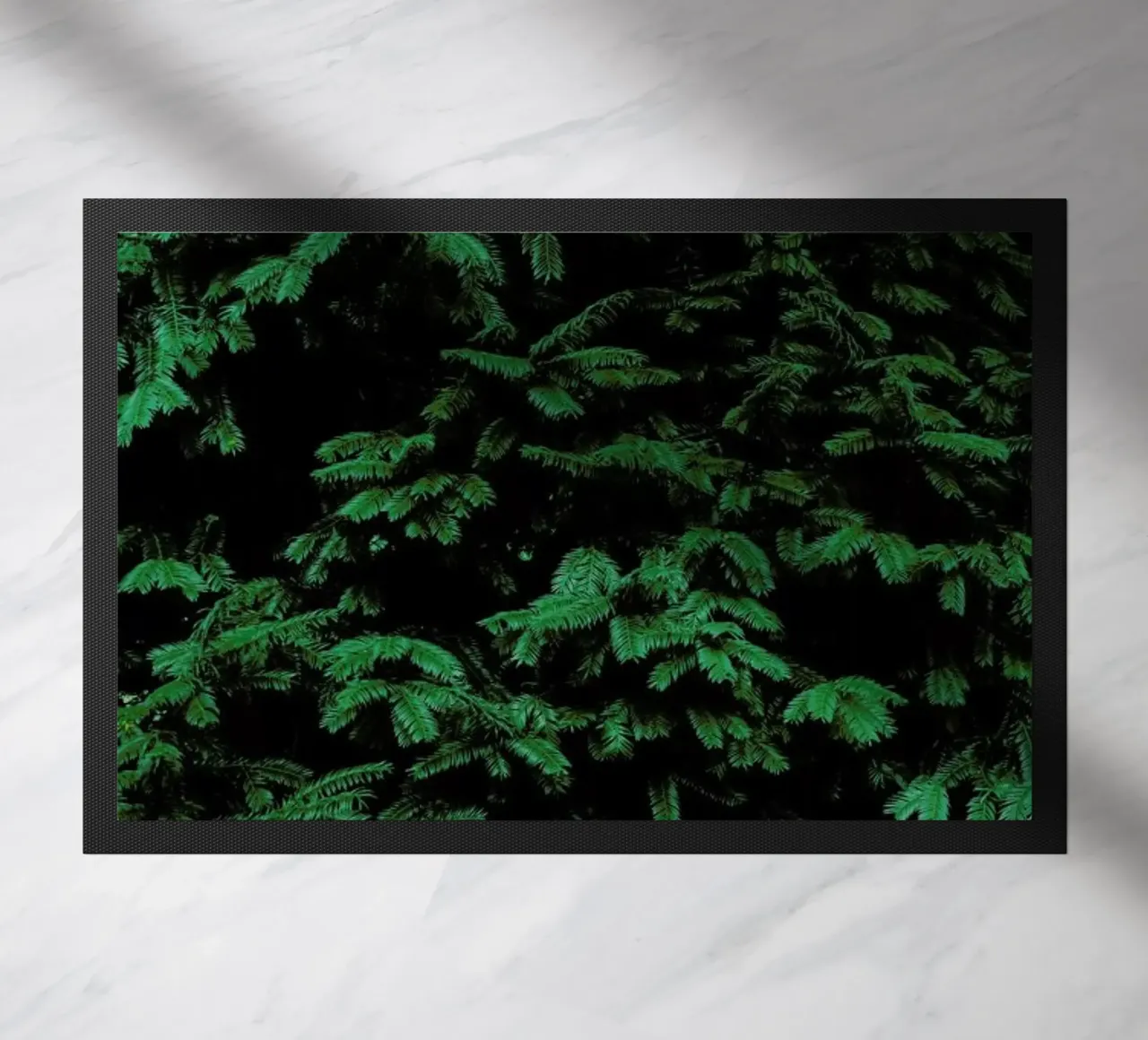 Coniferous Shrub zerbino da Sebastian Hilgetag