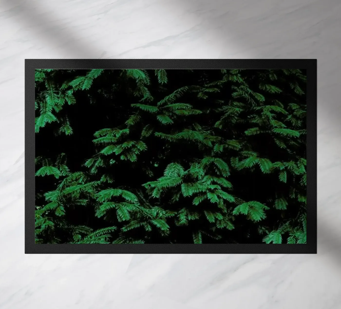 Coniferous Shrub zerbino da Sebastian Hilgetag