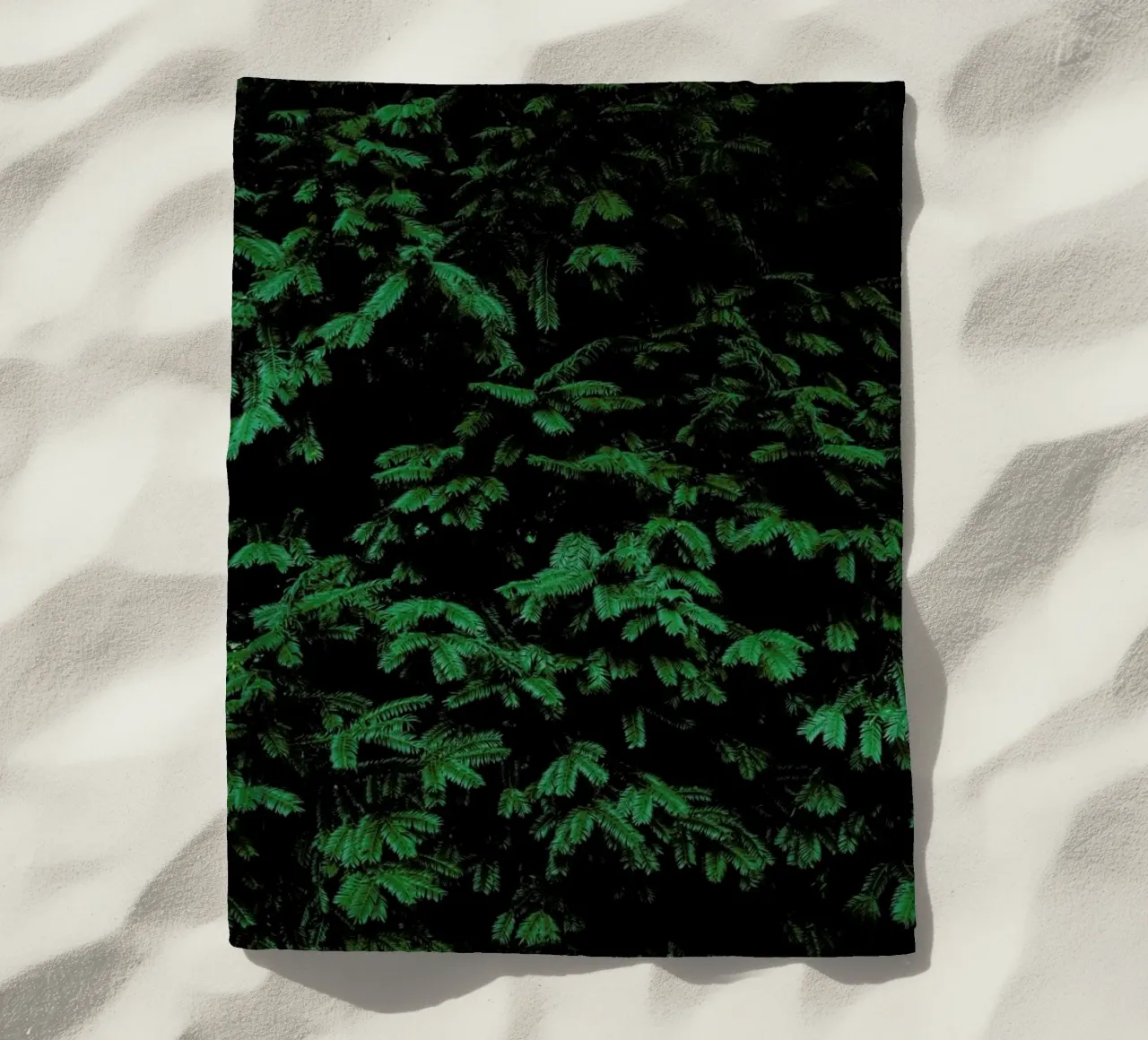 Coniferous Shrub telo mare da Sebastian Hilgetag