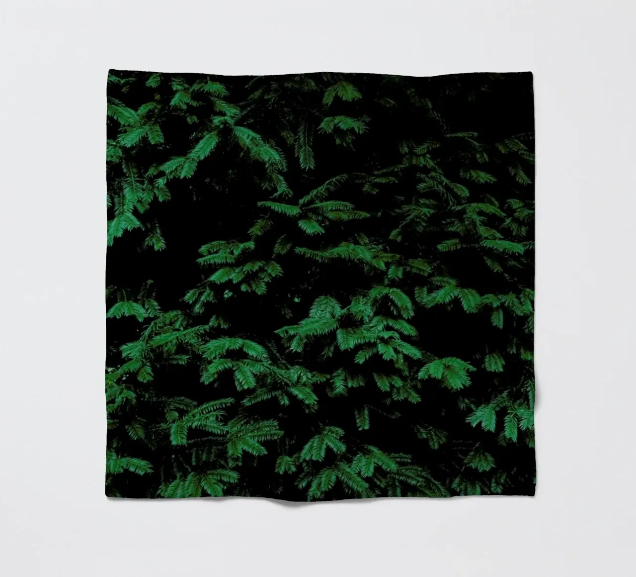 Coniferous Shrub coperta in pile da Sebastian Hilgetag