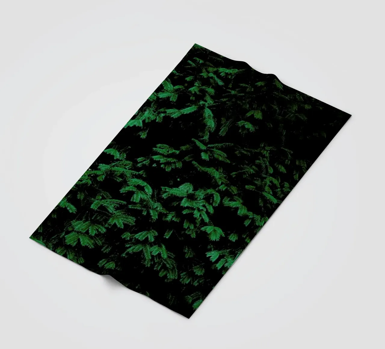 Coniferous Shrub coperta in pile da Sebastian Hilgetag