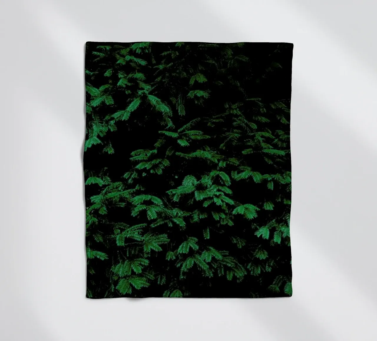 Coniferous Shrub coperta in pile da Sebastian Hilgetag