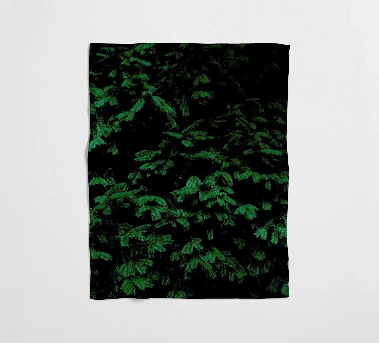 Coniferous Shrub coperta in pile da Sebastian Hilgetag