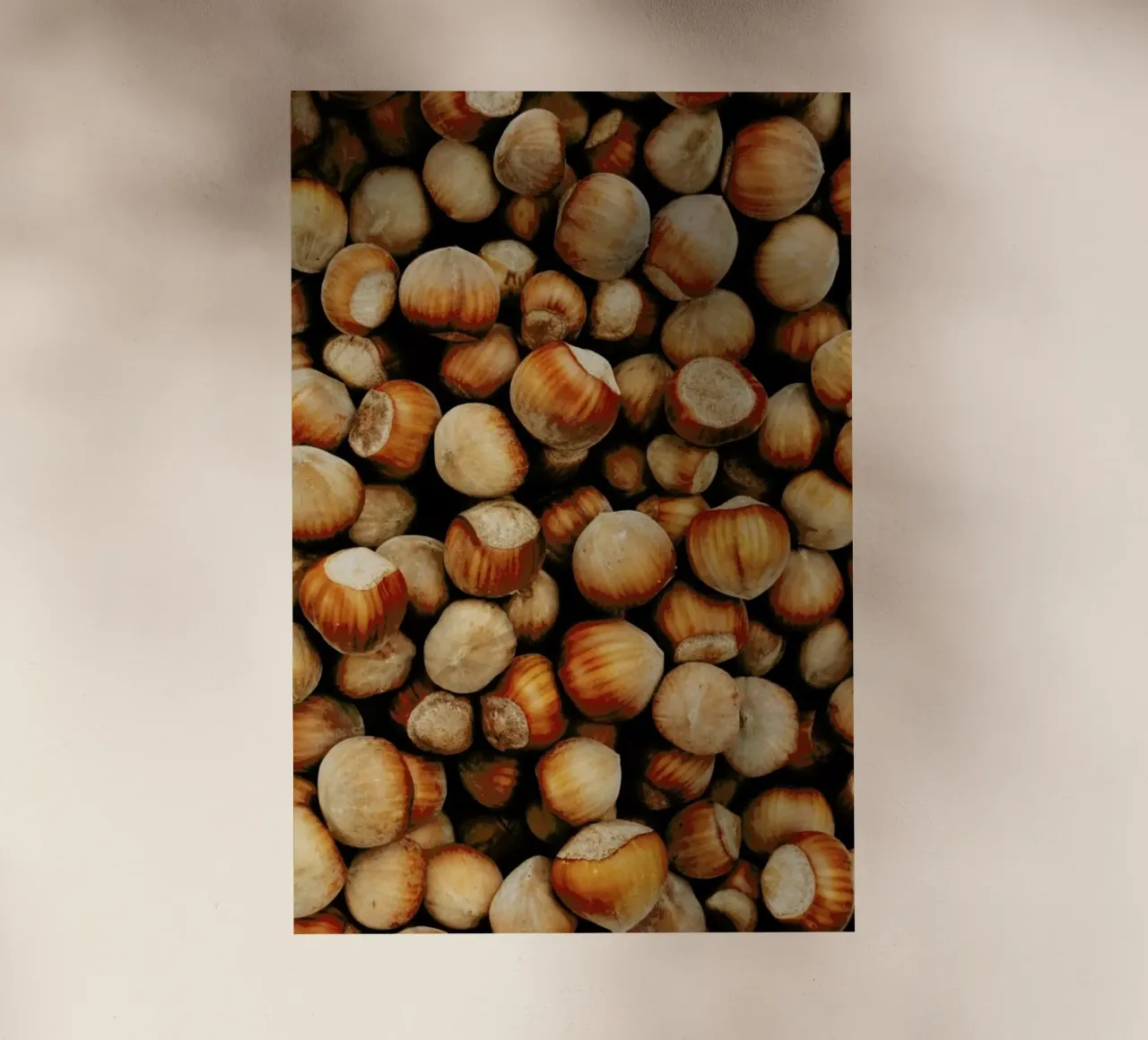 Hazelnuts pellicola backlit da Sebastian Hilgetag