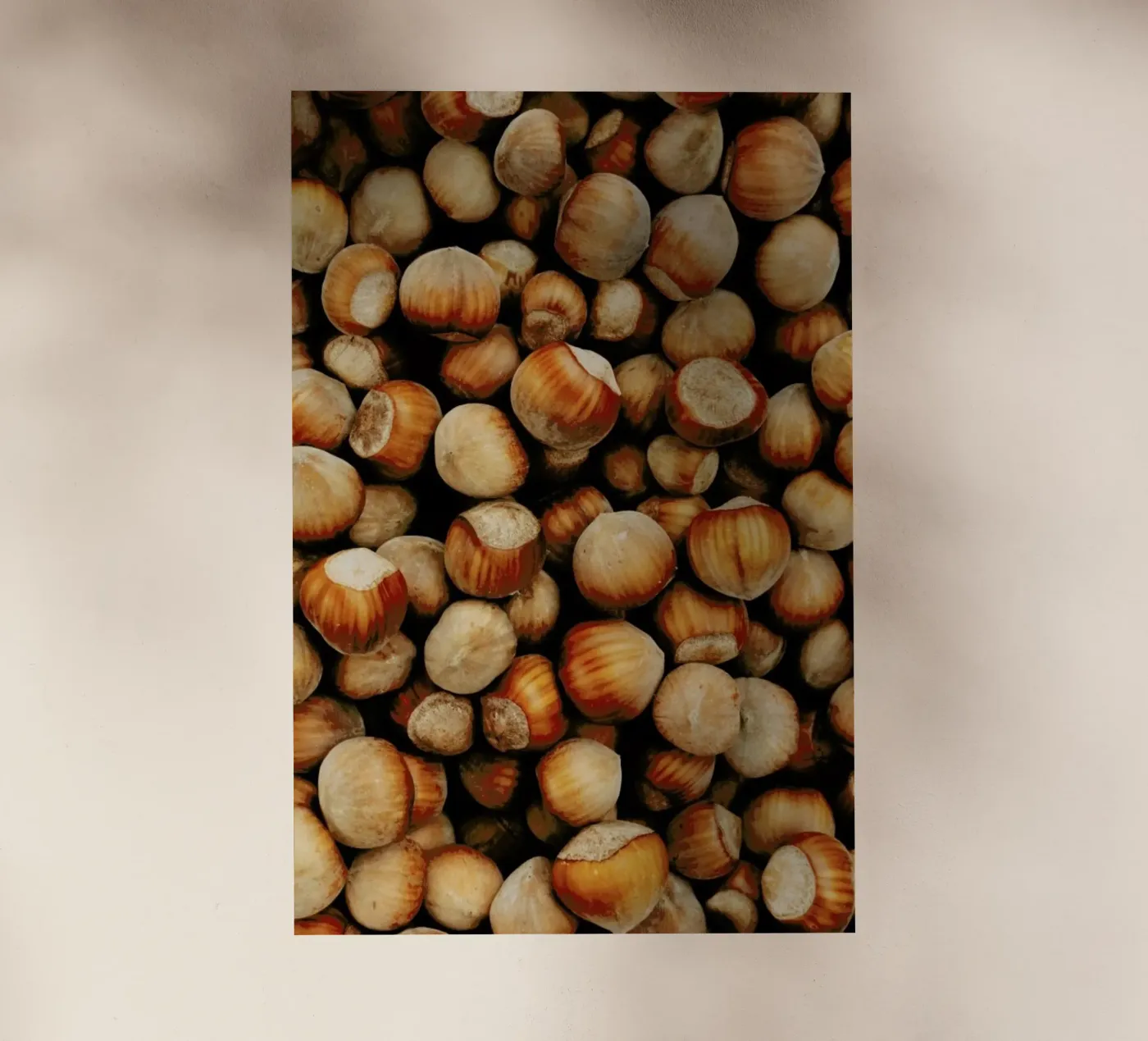 Hazelnuts pellicola backlit da Sebastian Hilgetag