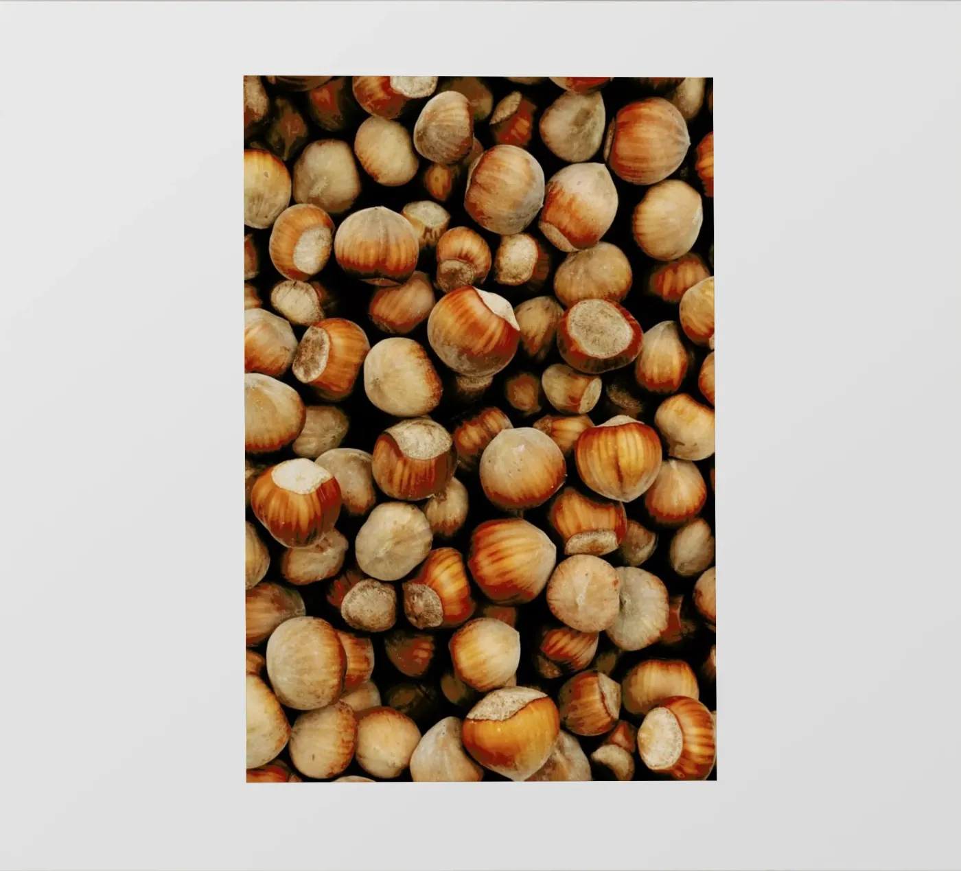 Hazelnuts pellicola backlit da Sebastian Hilgetag