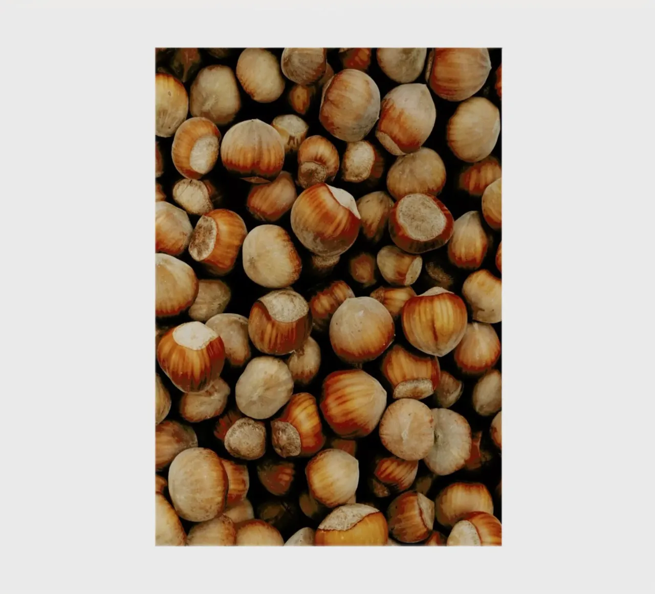 Hazelnuts notebook by Sebastian Hilgetag