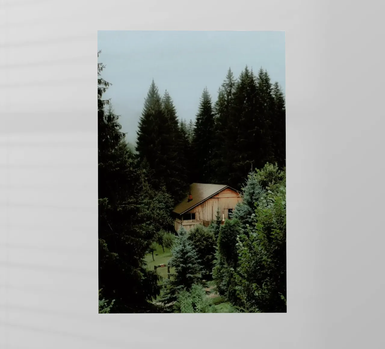 The Cabin In The Forest pellicola backlit da Sebastian Hilgetag