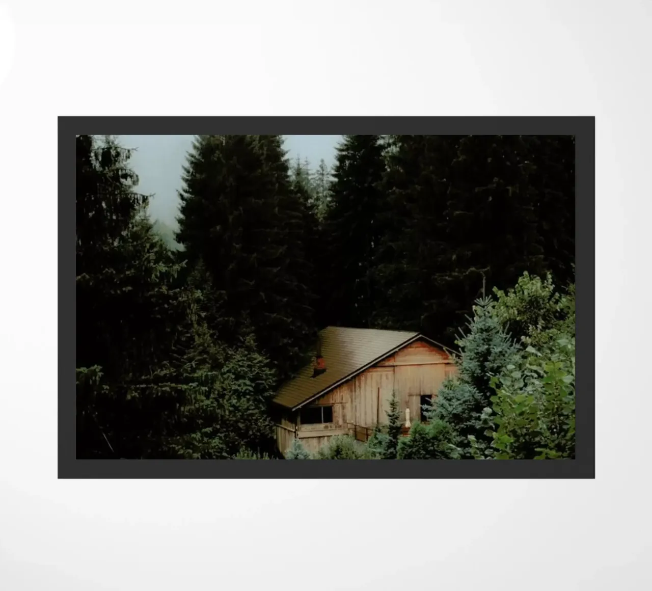 The Cabin In The Forest zerbino da Sebastian Hilgetag
