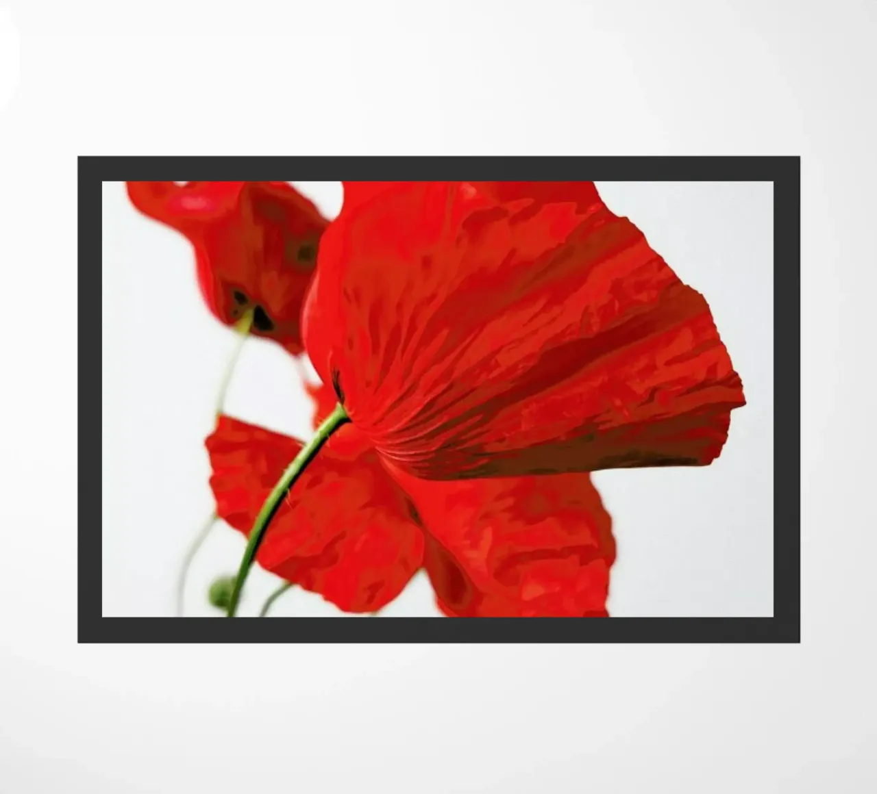 Poppies zerbino da Angelo Cerantola
