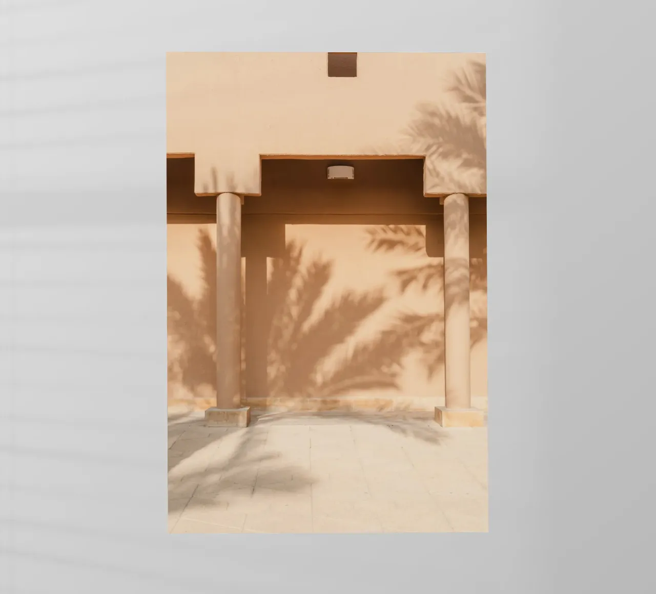 Shadow of a palm tree on the wall pellicola backlit da photolovers
