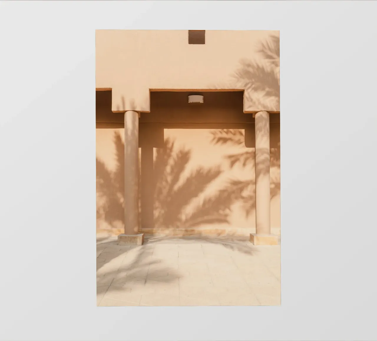 Shadow of a palm tree on the wall telo in pvc da photolovers