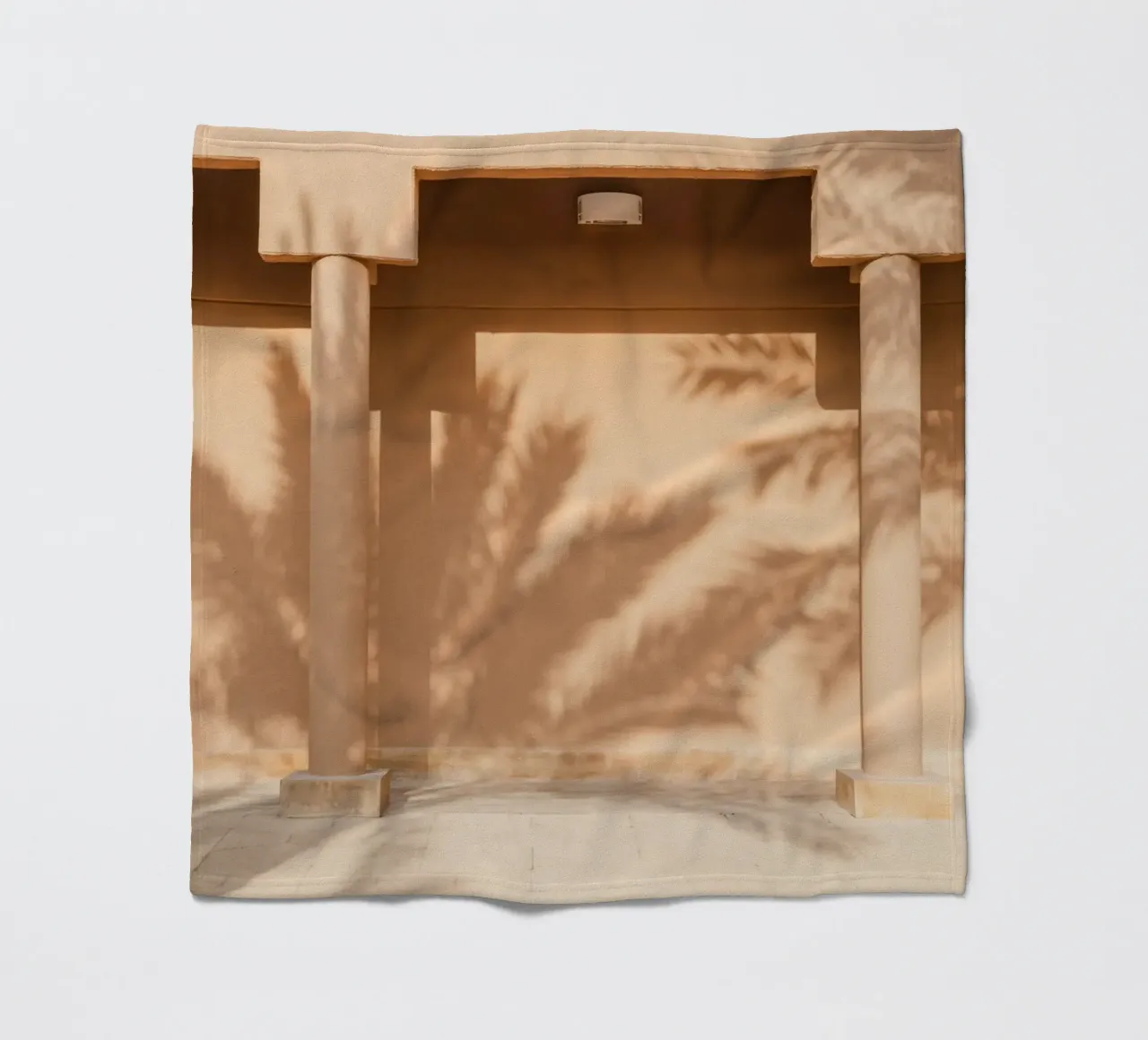 Shadow of a palm tree on the wall coperta in pile da photolovers