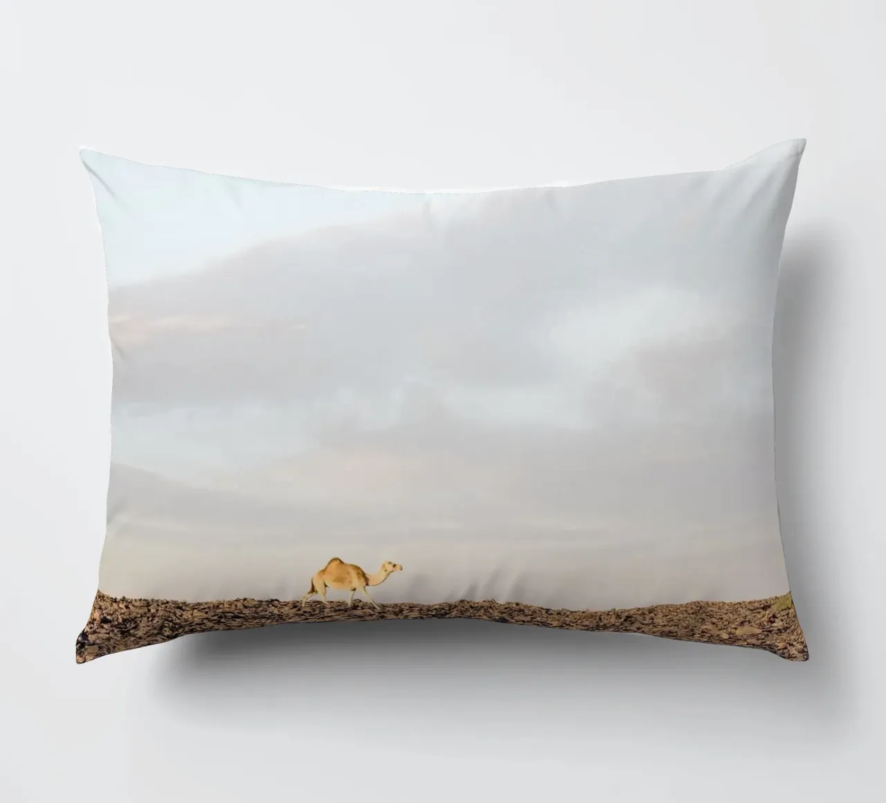 Lonely camel cuscino da photolovers