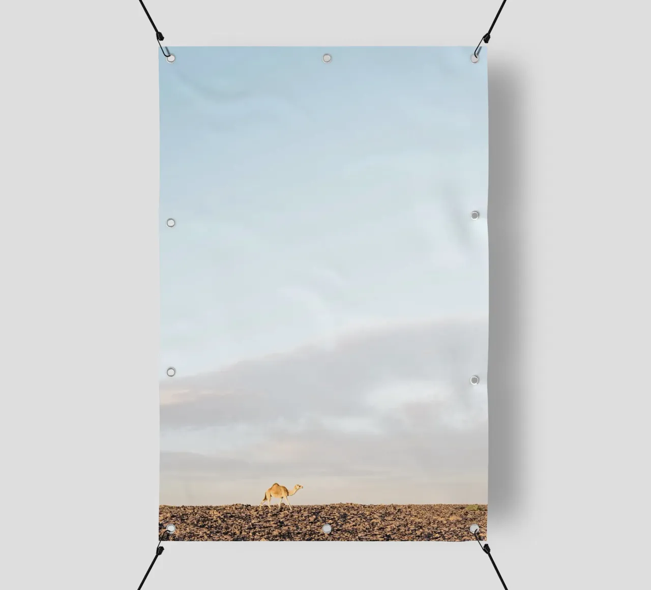 Lonely camel telo in pvc da photolovers