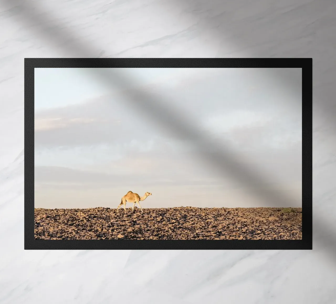 Lonely camel zerbino da photolovers