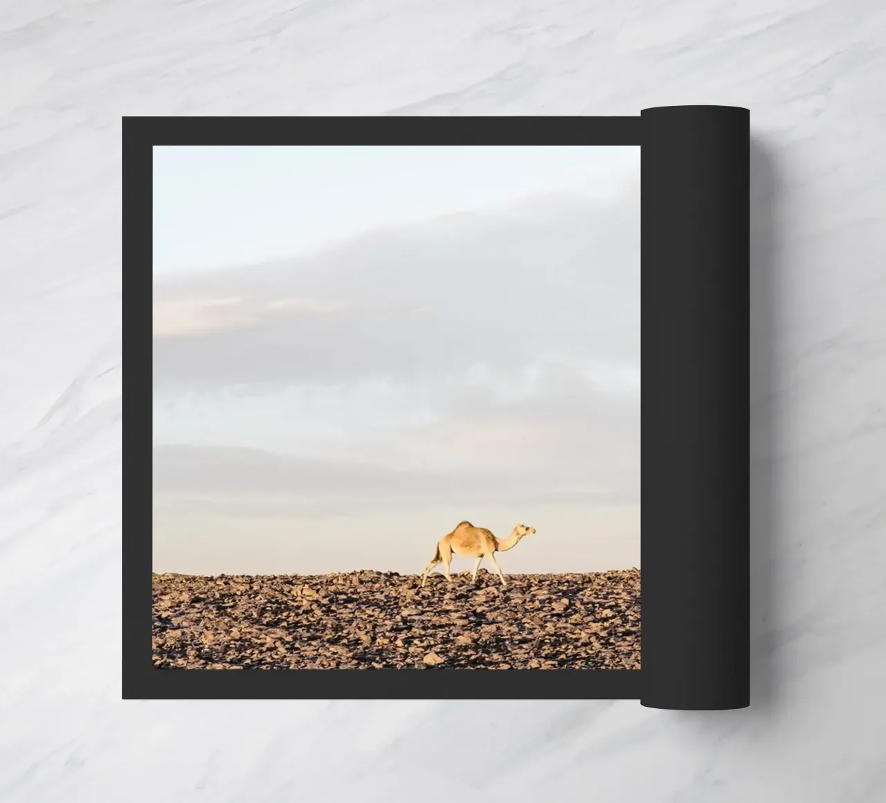 Lonely camel zerbino da photolovers
