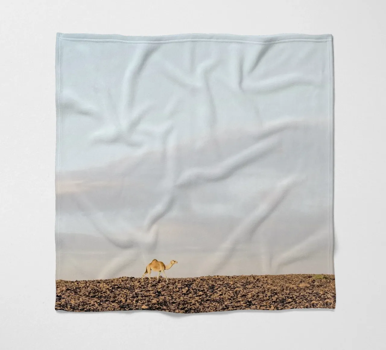 Lonely camel coperta in pile da photolovers