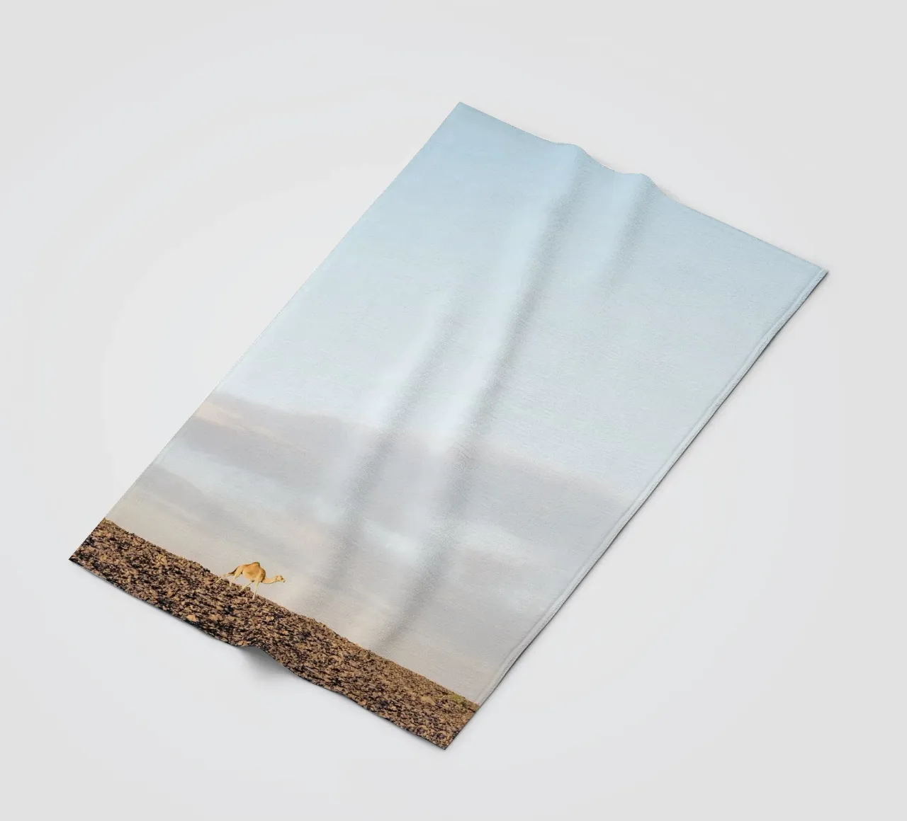 Lonely camel coperta in pile da photolovers