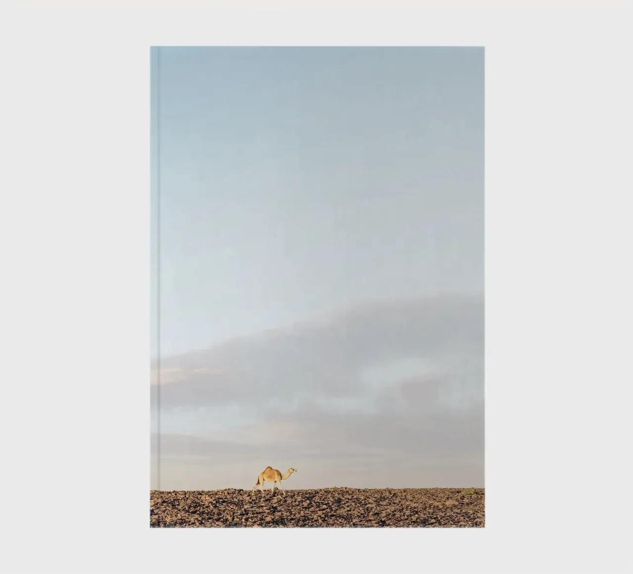 Lonely camel notebook by photolovers