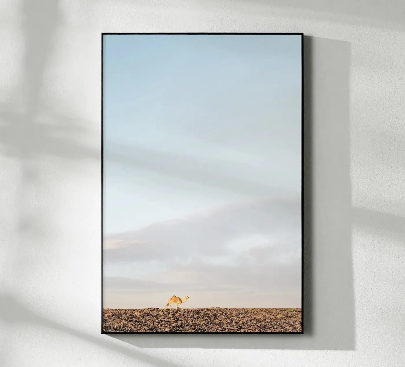 Lonely camel acryl van photolovers