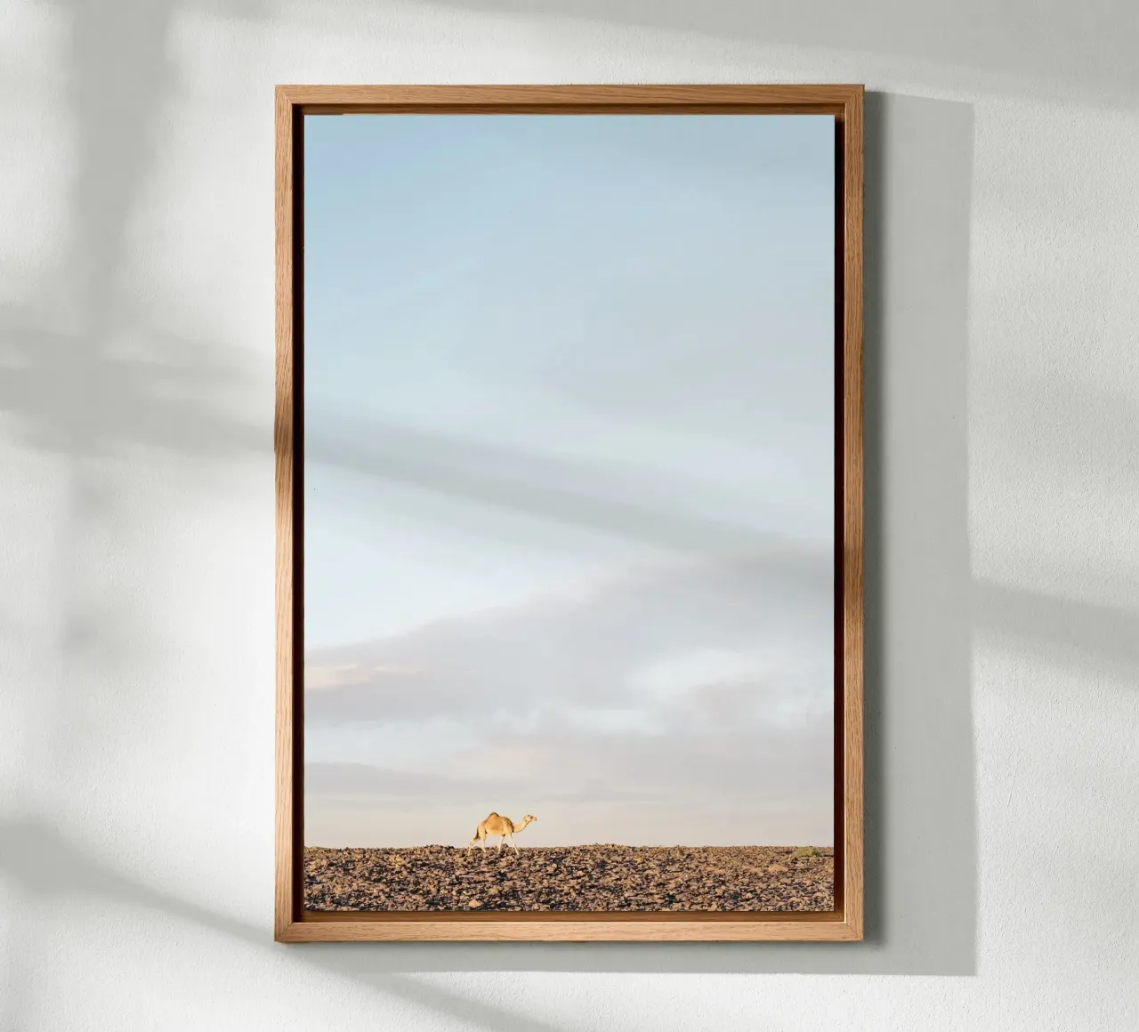 Lonely camel alluminio dibond da photolovers