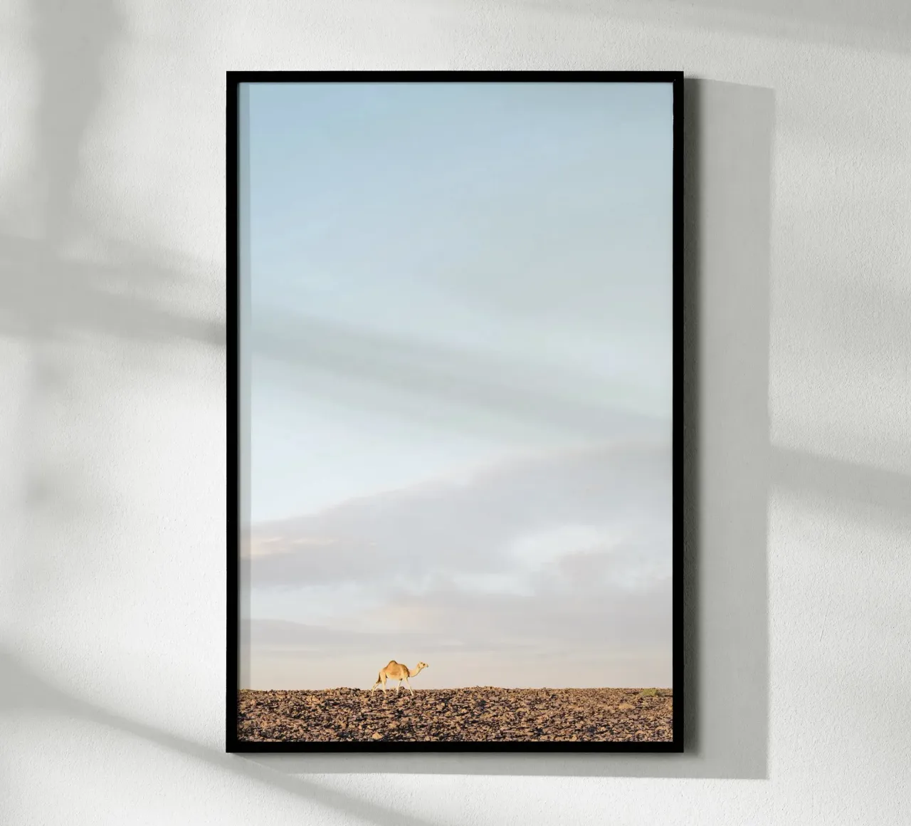 Lonely camel poster da photolovers
