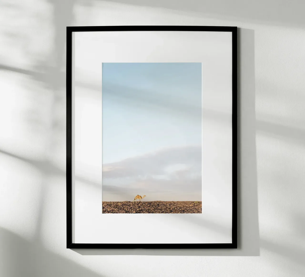 Lonely camel poster da photolovers