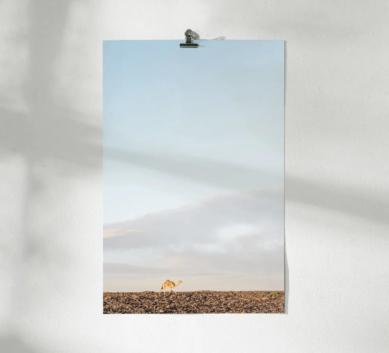 Lonely camel carta hahnemühle da photolovers